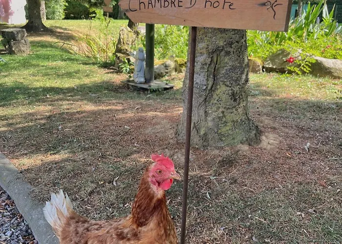 Au petit bonheur de séraphine